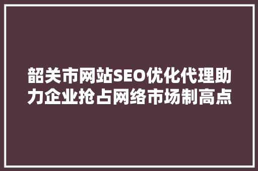 韶关市网站SEO优化代理助力企业抢占网络市场制高点