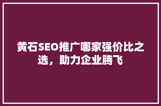 黄石SEO推广哪家强价比之选，助力企业腾飞