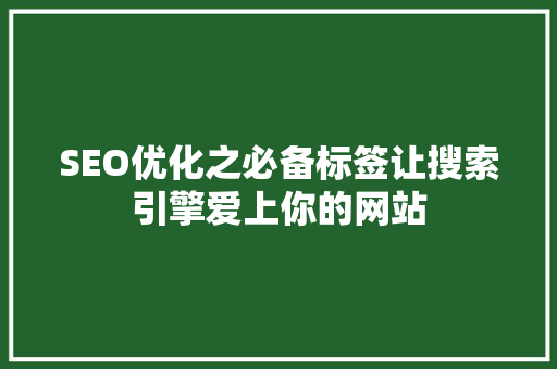SEO优化之必备标签让搜索引擎爱上你的网站
