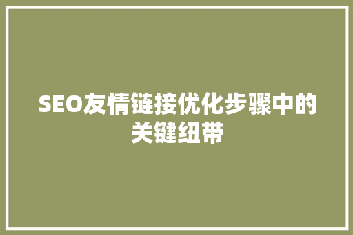 SEO友情链接优化步骤中的关键纽带