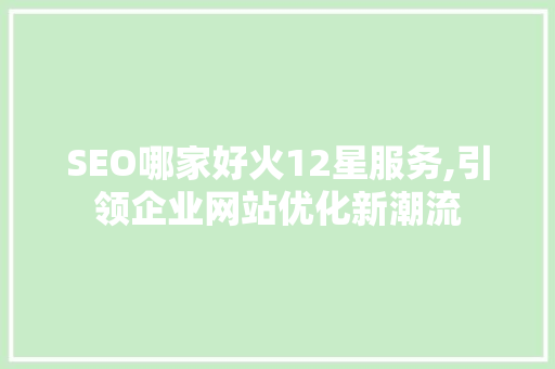 SEO哪家好火12星服务,引领企业网站优化新潮流
