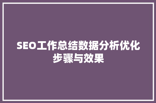 SEO工作总结数据分析优化步骤与效果