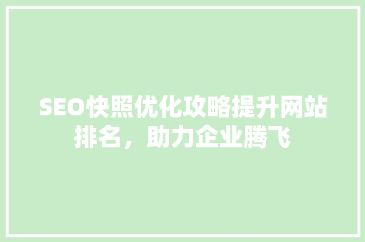 SEO快照优化攻略提升网站排名，助力企业腾飞