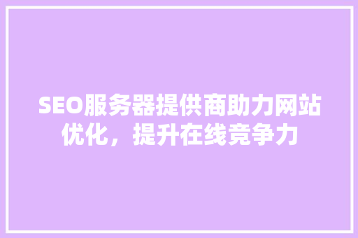 SEO服务器提供商助力网站优化，提升在线竞争力