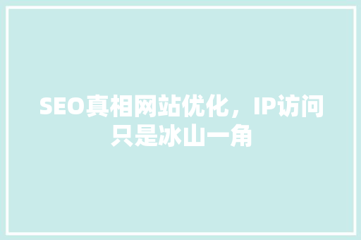 SEO真相网站优化，IP访问只是冰山一角