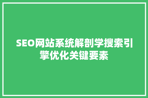 SEO网站系统解剖学搜索引擎优化关键要素