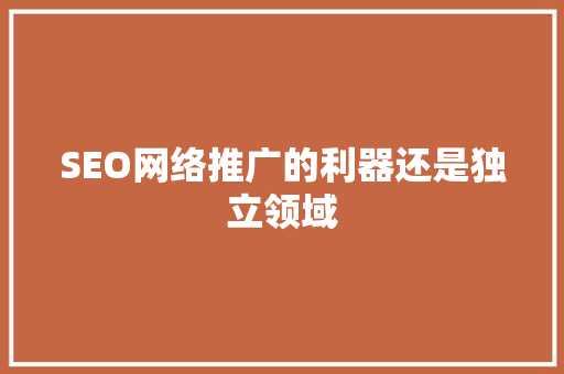 SEO网络推广的利器还是独立领域