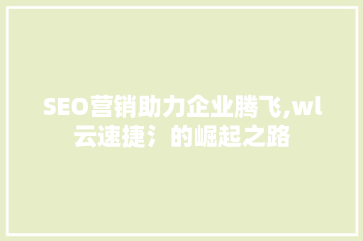 SEO营销助力企业腾飞,wl云速捷氵的崛起之路
