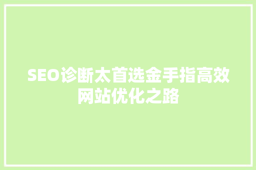SEO诊断太首选金手指高效网站优化之路