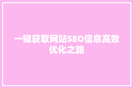 一键获取网站SEO信息高效优化之路