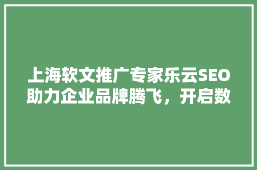 上海软文推广专家乐云SEO助力企业品牌腾飞，开启数字营销新篇章