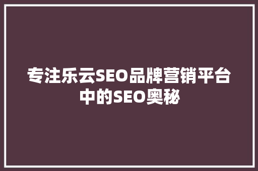 专注乐云SEO品牌营销平台中的SEO奥秘