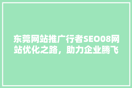 东莞网站推广行者SEO08网站优化之路，助力企业腾飞