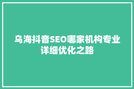 乌海抖音SEO哪家机构专业详细优化之路  第1张