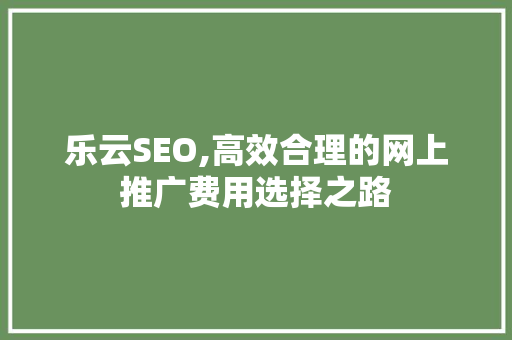 乐云SEO,高效合理的网上推广费用选择之路  第1张