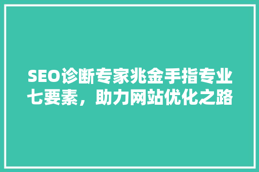SEO诊断专家兆金手指专业七要素，助力网站优化之路