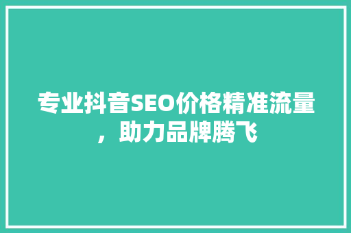 专业抖音SEO价格精准流量，助力品牌腾飞