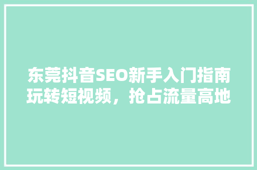 东莞抖音SEO新手入门指南玩转短视频，抢占流量高地