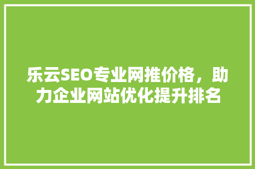 乐云SEO专业网推价格，助力企业网站优化提升排名