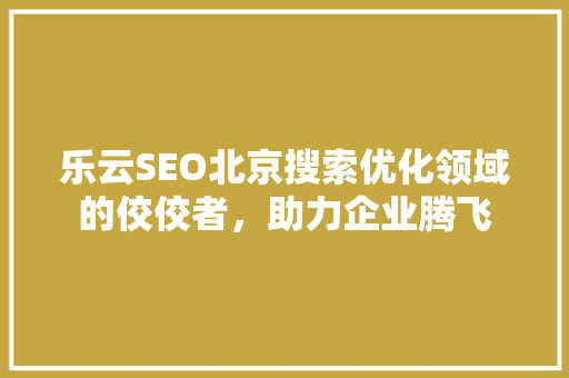 乐云SEO北京搜索优化领域的佼佼者，助力企业腾飞