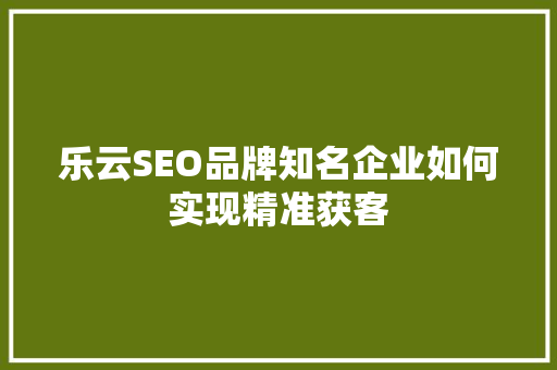 乐云SEO品牌知名企业如何实现精准获客