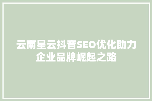 云南星云抖音SEO优化助力企业品牌崛起之路