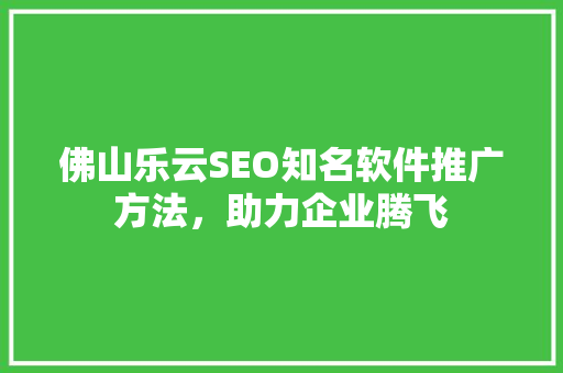 佛山乐云SEO知名软件推广方法，助力企业腾飞