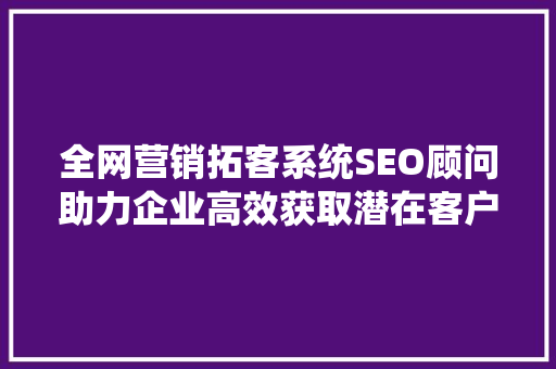 全网营销拓客系统SEO顾问助力企业高效获取潜在客户