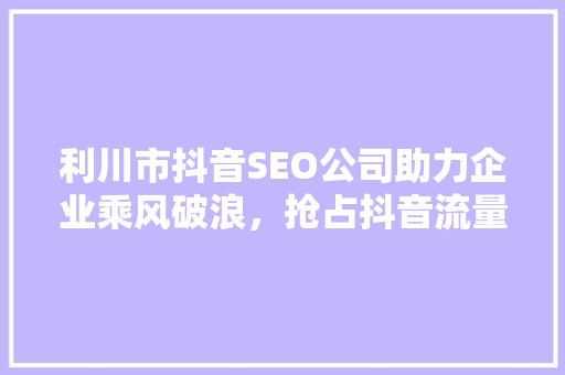 利川市抖音SEO公司助力企业乘风破浪，抢占抖音流量高地