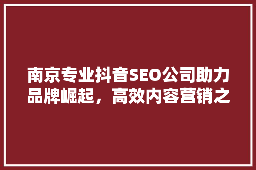 南京专业抖音SEO公司助力品牌崛起，高效内容营销之路
