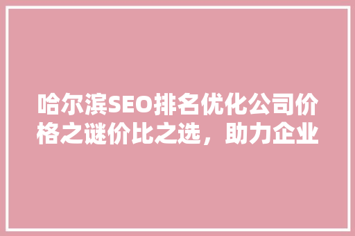 哈尔滨SEO排名优化公司价格之谜价比之选，助力企业腾飞