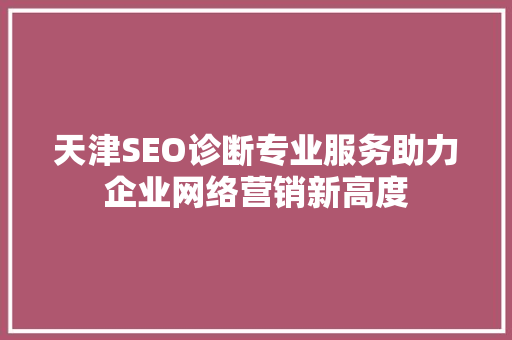 天津SEO诊断专业服务助力企业网络营销新高度