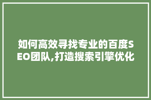 如何高效寻找专业的百度SEO团队,打造搜索引擎优化利器