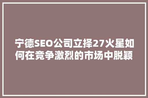 宁德SEO公司立择27火星如何在竞争激烈的市场中脱颖而出