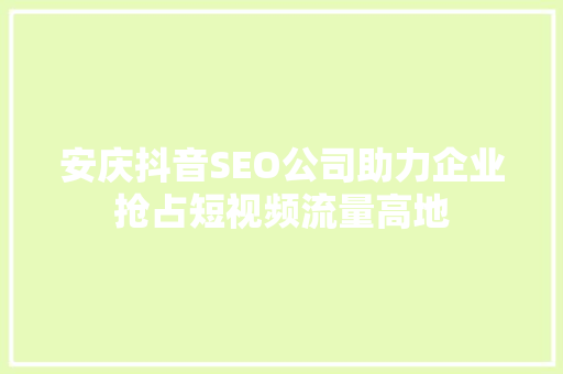 安庆抖音SEO公司助力企业抢占短视频流量高地