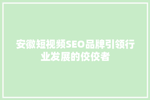 安徽短视频SEO品牌引领行业发展的佼佼者