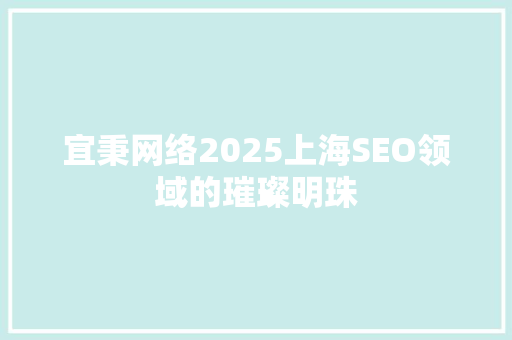 宜秉网络2025上海SEO领域的璀璨明珠