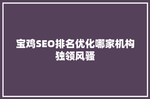 宝鸡SEO排名优化哪家机构独领风骚