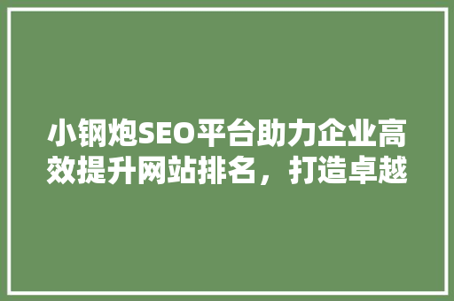 小钢炮SEO平台助力企业高效提升网站排名，打造卓越网络品牌形象