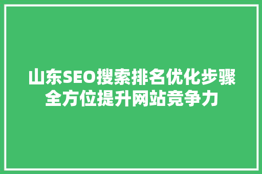 山东SEO搜索排名优化步骤全方位提升网站竞争力