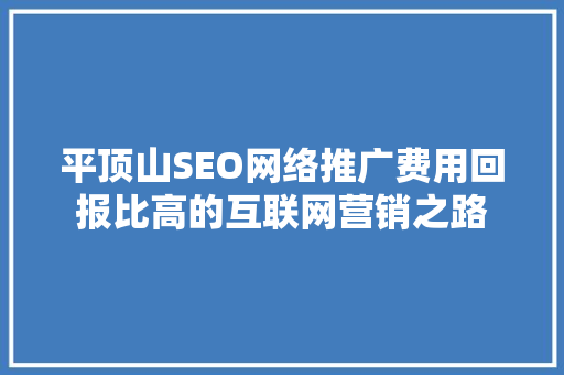 平顶山SEO网络推广费用回报比高的互联网营销之路