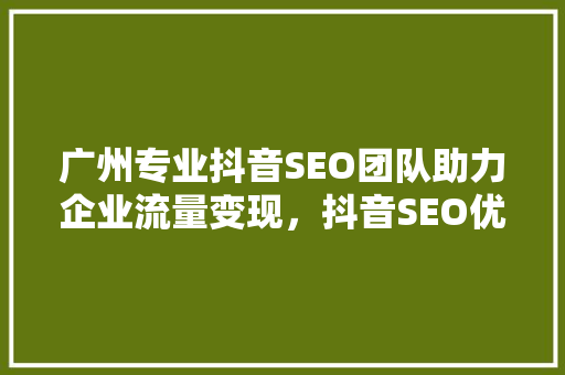 广州专业抖音SEO团队助力企业流量变现，抖音SEO优化方法
