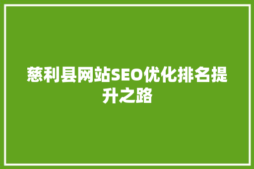 慈利县网站SEO优化排名提升之路