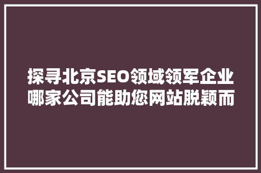 探寻北京SEO领域领军企业哪家公司能助您网站脱颖而出