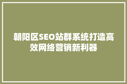 朝阳区SEO站群系统打造高效网络营销新利器