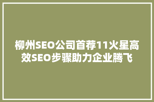 柳州SEO公司首荐11火星高效SEO步骤助力企业腾飞