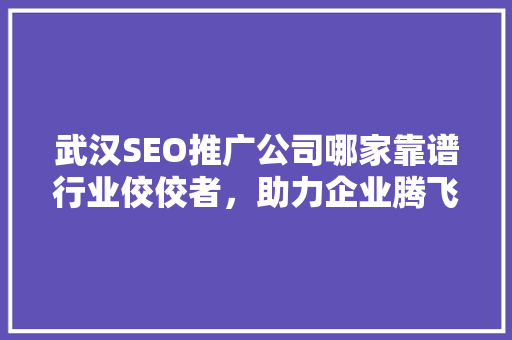 武汉SEO推广公司哪家靠谱行业佼佼者，助力企业腾飞