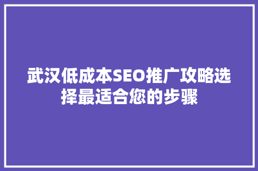 武汉低成本SEO推广攻略选择最适合您的步骤  第1张