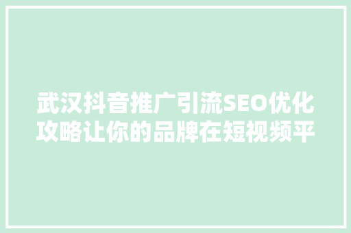 武汉抖音推广引流SEO优化攻略让你的品牌在短视频平台脱颖而出
