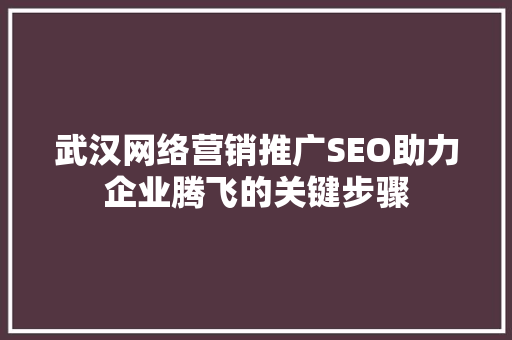武汉网络营销推广SEO助力企业腾飞的关键步骤  第1张